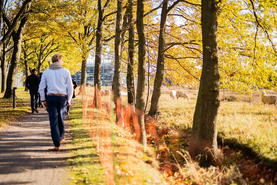 High Tech Campus_Campus Green (2)