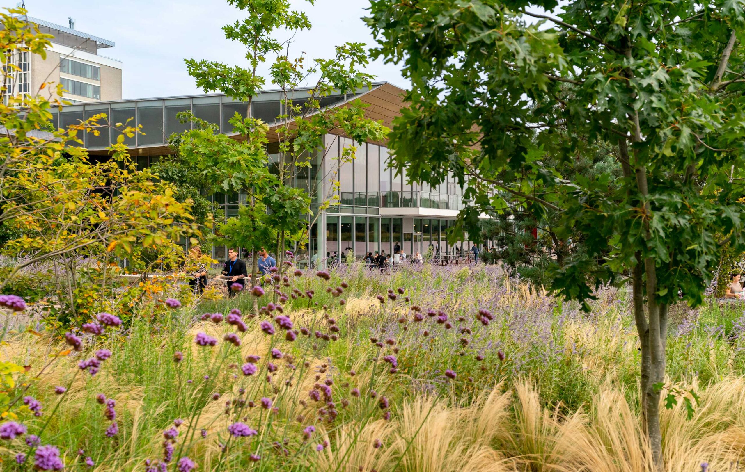 Campus green