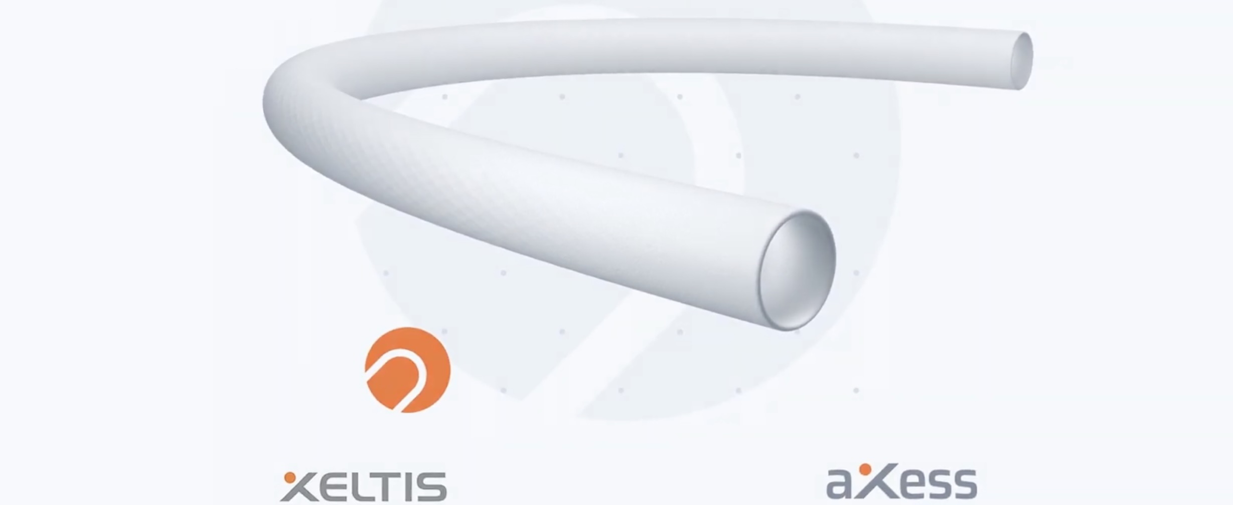 aXess implant Xeltis