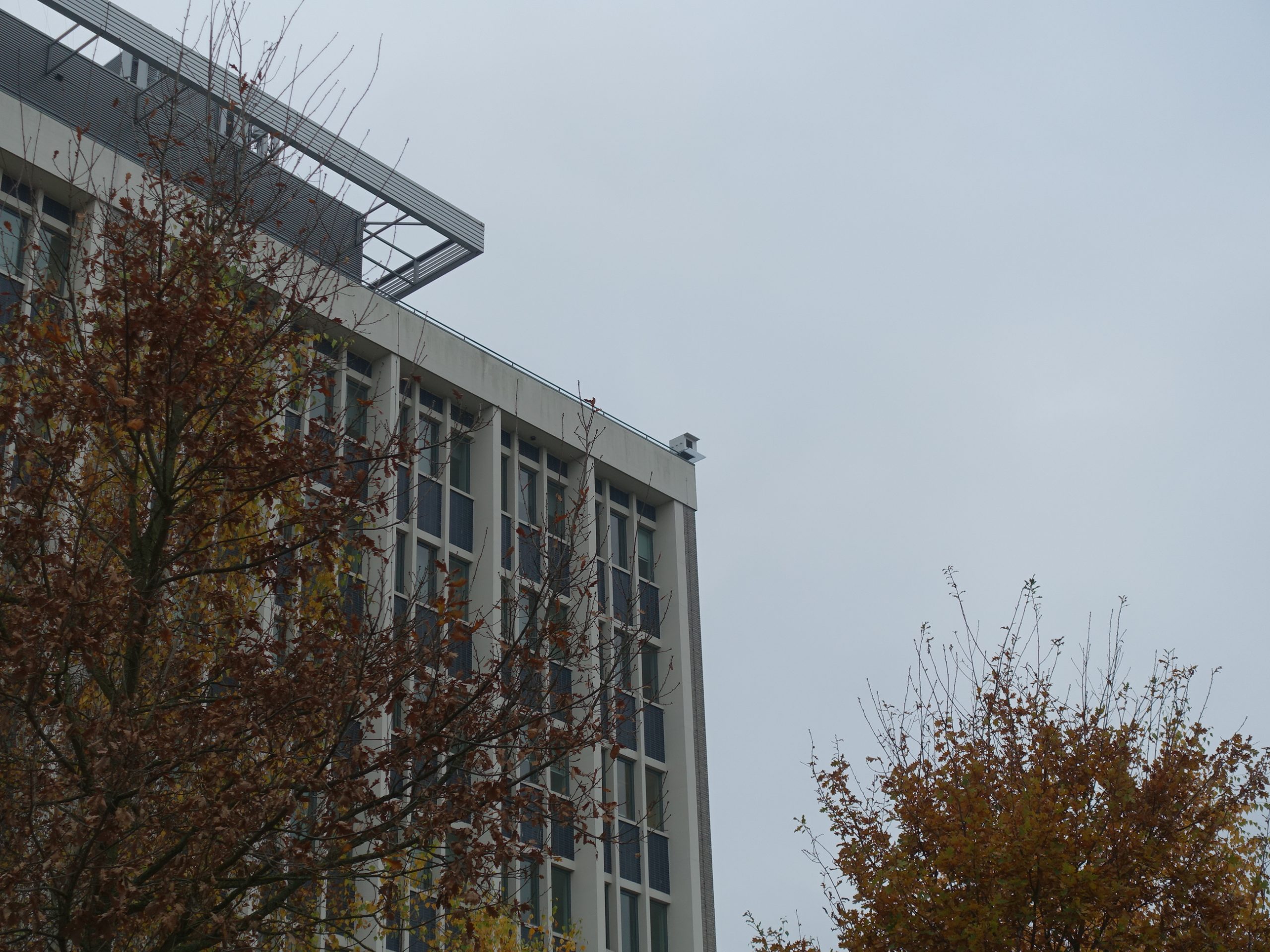 Slechtvalkkast High Tech Campus Eindhoven