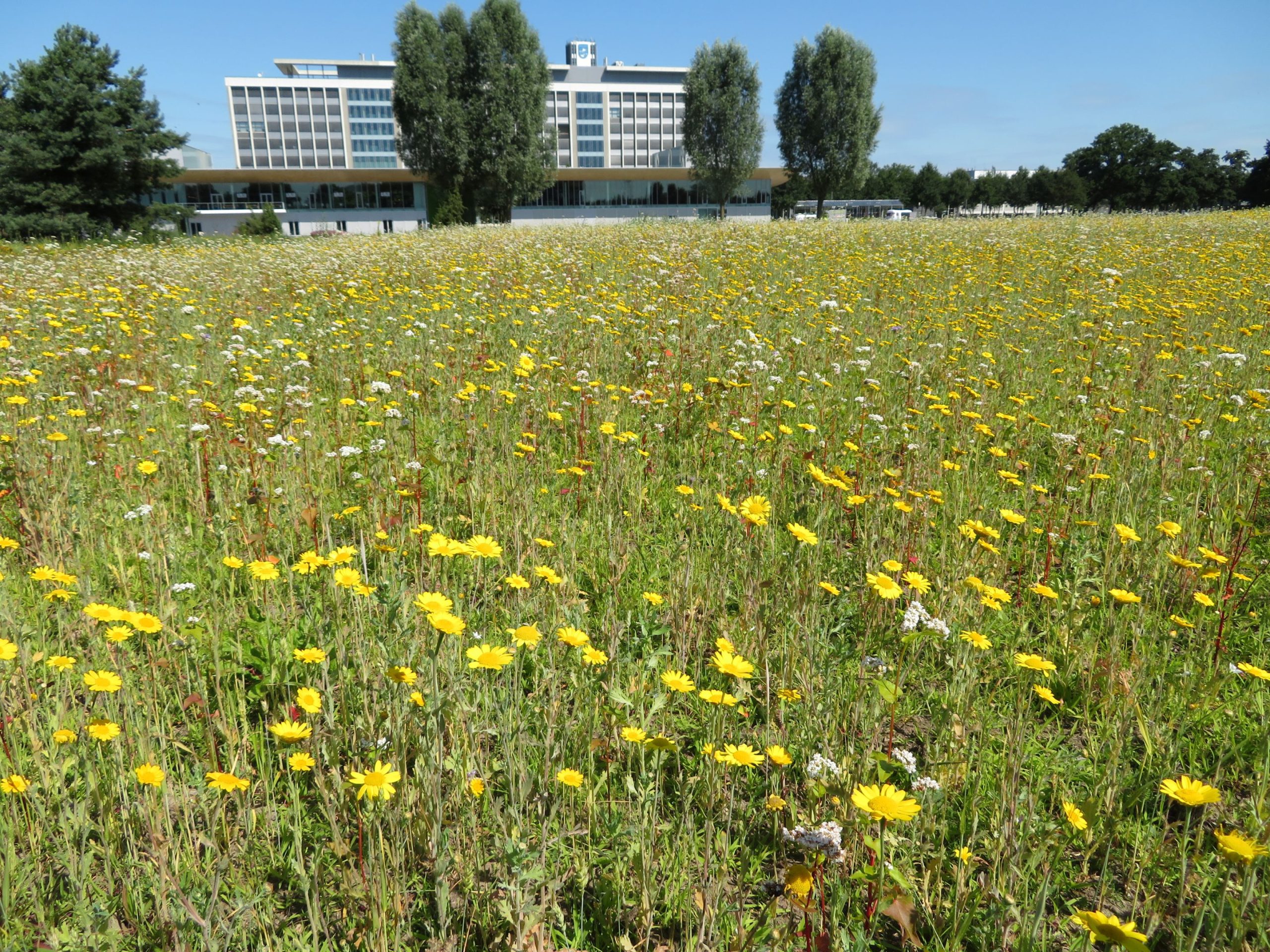Wintervoedselakker High Tech Campus Eindhoven